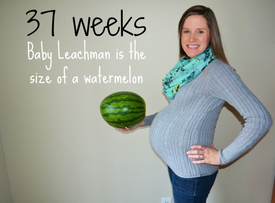 37 wks - watermelon w txt